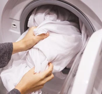 Laver le linge infesté de punaises