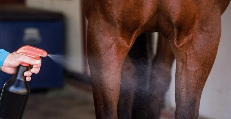 Spray anti-mouche : Lequel choisir ? Quelle efficacité ?