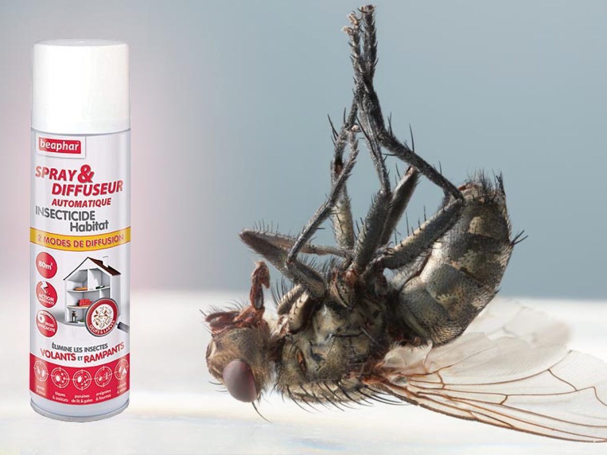 Generic Tueur de mouches et moustique très efficace - Prix pas