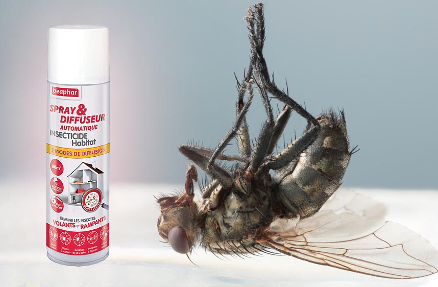 Insecticide volants moustiques mouches moucherons mites toans