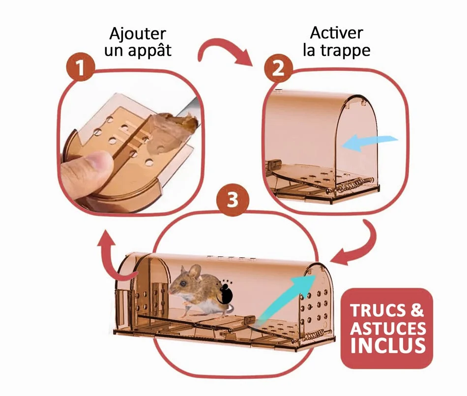 Quel piège à souris choisir ? Non mortel, électrique ou collant ?