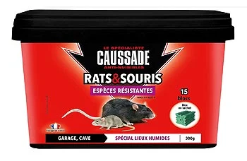 Le poison anti souris : solution foudroyante contre les rongeurs