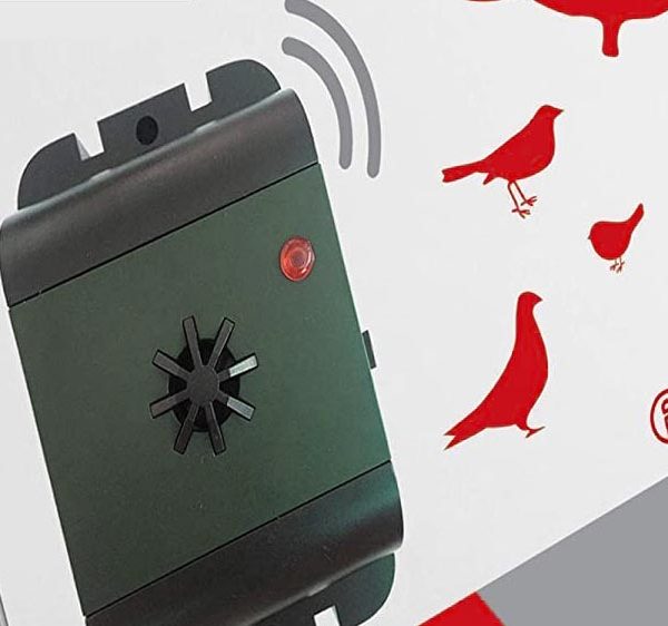 Ultrason pigeon
