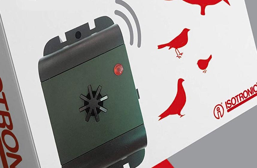 Ultrason pigeon