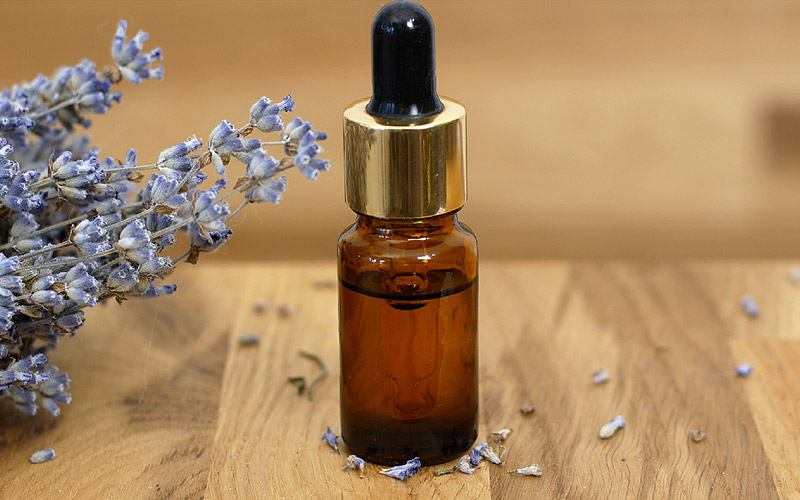 L'usage des huiles essentielles contre les moustiques