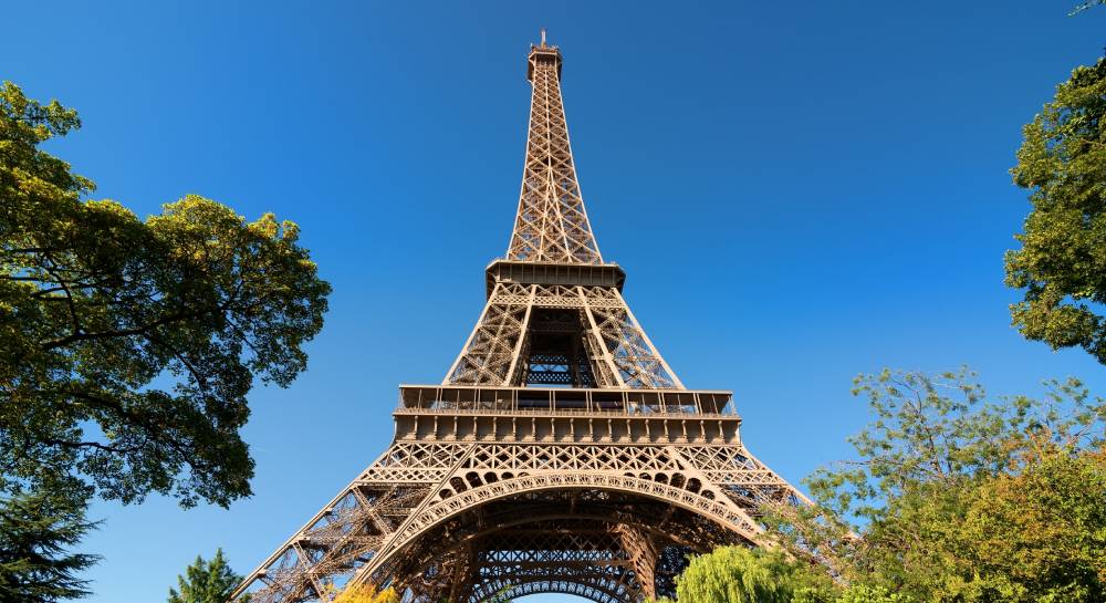 Des rats à la Tour Eiffel