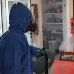 Entreprise de désinsectisation